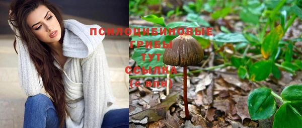 мет Кукмор