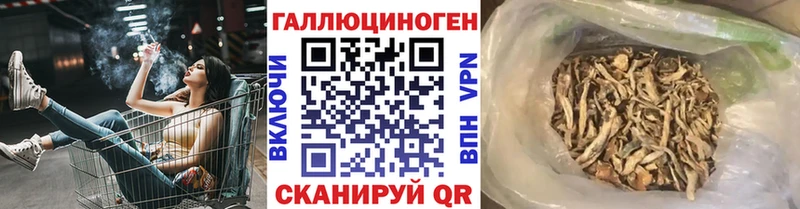 Псилоцибиновые грибы Psilocybe  как найти закладки  Медвежьегорск 
